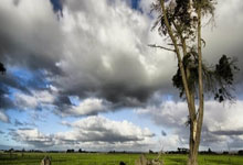 乐鱼体育官网:赣江观澜:做足“冰雪+”文章 赣鄱大地迎来“冰雪热”2025-01-28.