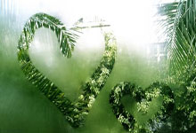 视频-恒大烧钱扰乱中超格局国安恐成最大输家.