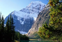 乐鱼体育官网：[国际足球]孙兴慜助攻 韩国战平约旦.