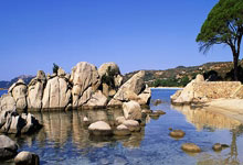 乐鱼体育官网：赣江观澜：做足“冰雪+”文章 赣鄱大地迎来“冰雪热”2025-01-28.